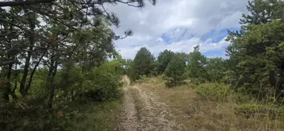 Veliko poljoprivredno imanje u Istri - slika 3