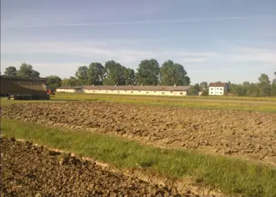 Farma za uzgoj pilića - slika 4