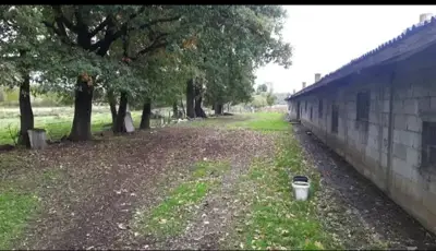 Farma za uzgoj pilića - slika 3
