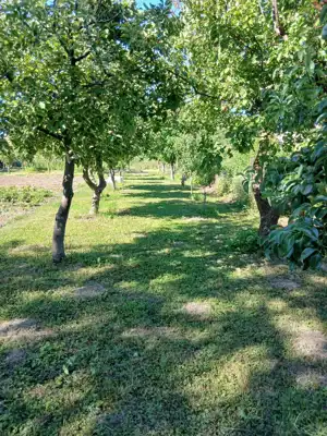 Poljoprivredno imanje blizu Vukovara - slika 1