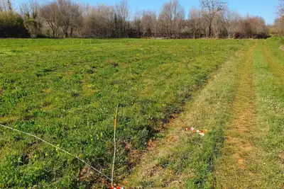 Poljoprivredno zemljište u blizini Marčane - slika 4