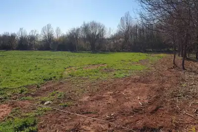 Poljoprivredno zemljište u blizini Marčane - slika 3