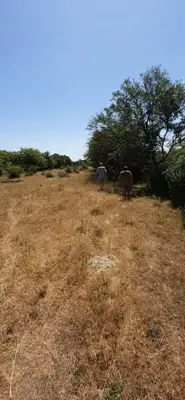 Poljoprivredno zemljište u blizini Zadra - slika 4