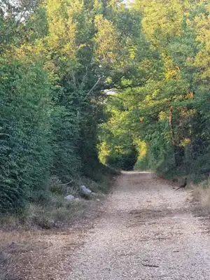 Poljoprivredno zemljište u blizini Zadra - slika 2