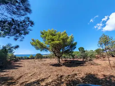 Poljoprivredne parcele na Malom Lošinju - slika 1
