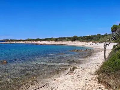 Poljoprivredne parcele na Malom Lošinju - slika 3