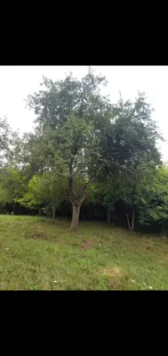 Poljoprivredno imanje u blizini rijeke Dobre - slika 4