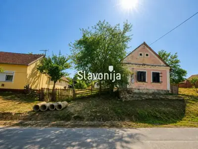 Poljoprivredno imanje sa šumom u okolici Orahovice - slika 1