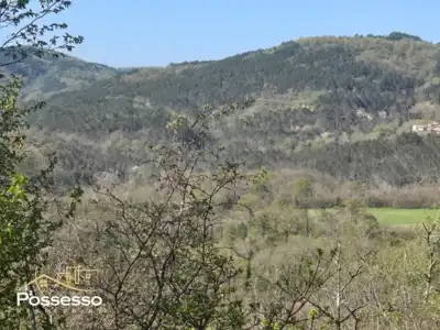 Poljoprivredna parcela u Buzetu - slika 3
