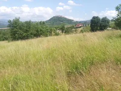 Poljoprivredno zemljište u blizini Motovuna - slika 1