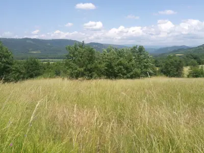 Poljoprivredno zemljište u blizini Motovuna - slika 2