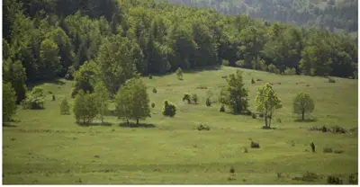 Investicijsko zemljište u srcu Gorskog Kotara - slika 1