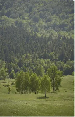 Investicijsko zemljište u srcu Gorskog Kotara - slika 2