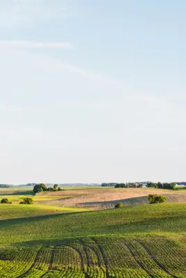 Vaših 1500 m2 mira – savršeno za eko-vrt ili bijeg iz grada - slika 2