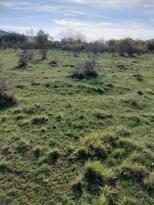 Poljoprivredno zemljište kod Zadra - slika 2