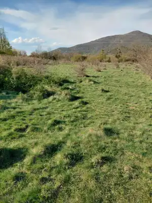 Poljoprivredno zemljište kod Zadra - slika 1