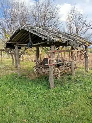 Poljoprivredno imanje u blizini Kutjeva - slika 2