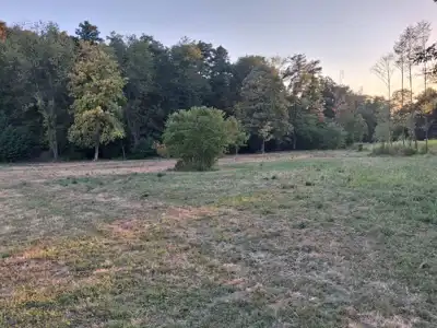 Poljoprivredno imanje uz potok - slika 1