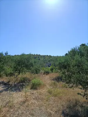Poljoprivredno zemljište na Hvaru - slika 3
