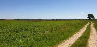 Poljoprivredno zemljište u Pisarovini