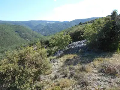 Maslinik na Braču - slika 3