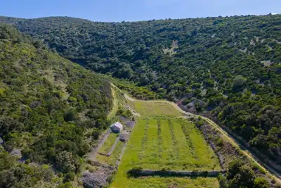 Stone House with Olive Grove for Sale on Brač - slika 4