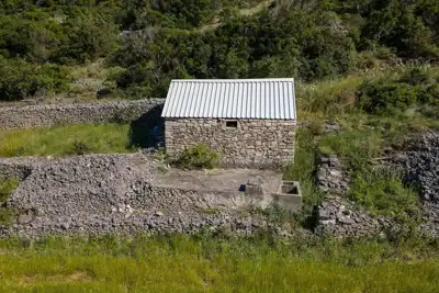 Stone House with Olive Grove for Sale on Brač - slika 3